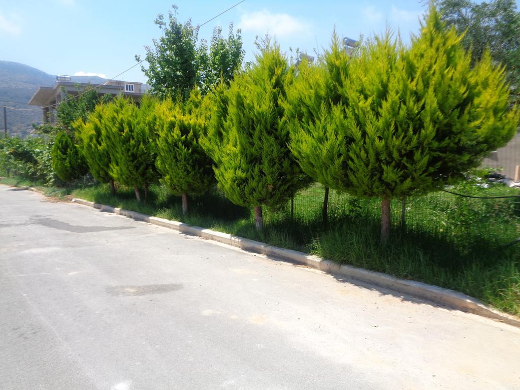 Creta Nostos Luxury Apartment Tsikalaria  Экстерьер фото